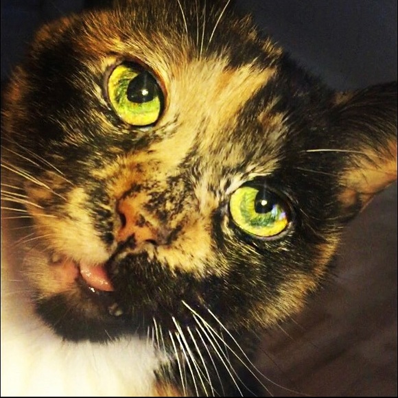 Meet your Posher, Mark - Picture 1 of 1